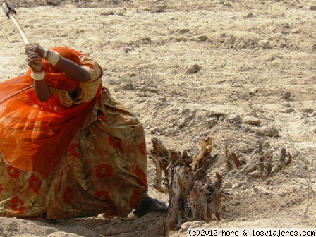 costruyendo una carretera
mujer del rajasthan construyendo una carretera para unir 2 pueblos
