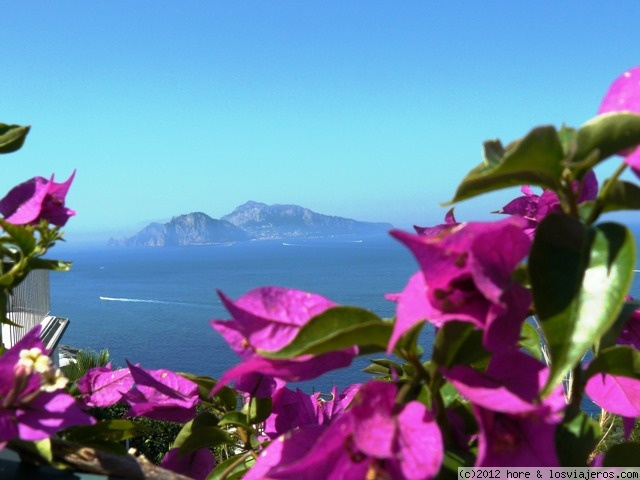 Forum of Costa Amalfitana: Capri