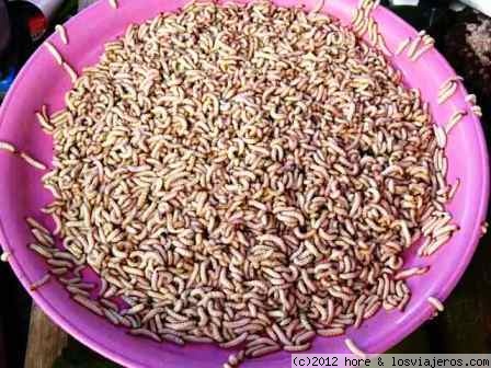 mercado en birmania
delicias de birmania, en tailandia comimos los mismos gusanos fritos y casi igual que comer palomitas... tengo foto ...

