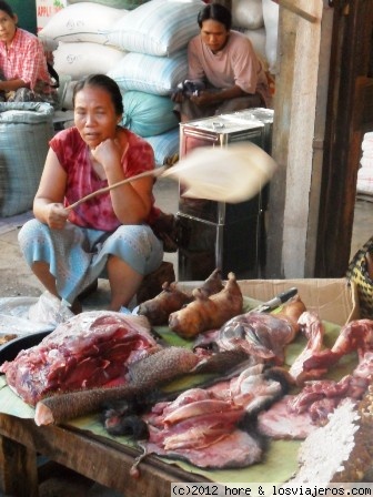 birmania
mas delicias del mercado, roedores...
