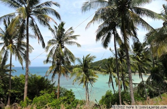 koh tao , parece una isla de piratas!!!
la isla mas impresionante del golfo de tailandia, para perderse unos dias!!! alquilar una moto... una cabañita!!! olé!!
