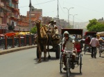 india
india rajasthan