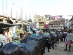 calles dde varanasi