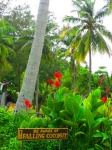 tailandia
Angthong marine park tailandia islas koh samui