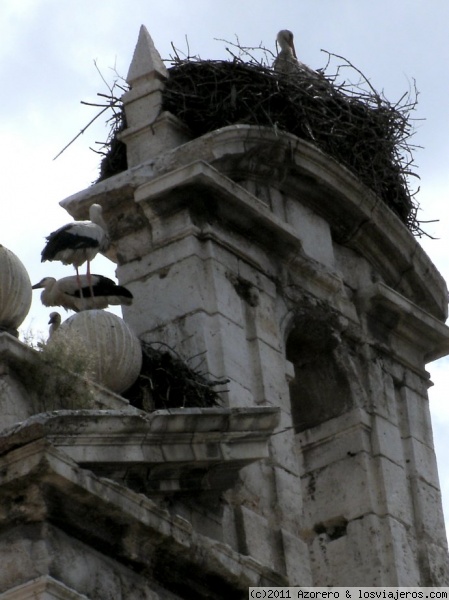 Cigüeñas en Alcalá de Henares (Madrid)
Una foto de nuestras más queridas vecinas...
Cigüeñas en Alcalá de Henares (Madrid)
Una foto de nuestras más queridas vecinas...