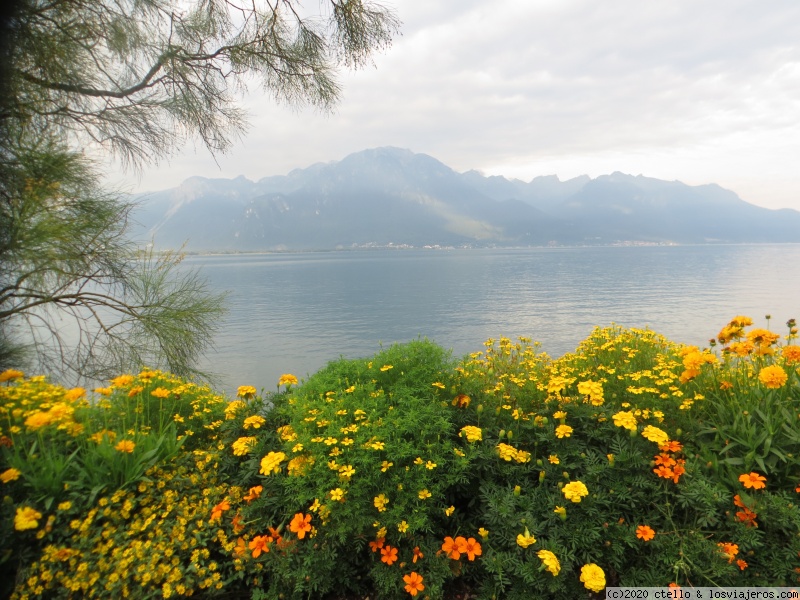 MONTREUX Y PASEO DE LAS FLORES AL CASTILLO DE CHILLON, TREN GOLDEN PASS A - Suiza en tren con Swiss pass (1)