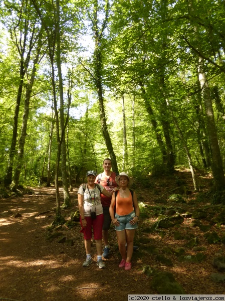 La Fageda
La Fageda
