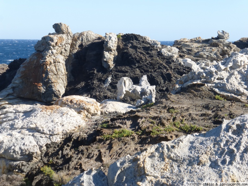 PARATGE DE TUDELA y CAP DE CREUS - ROSES-CADAQUÈS-CAP DE CREUS (5)