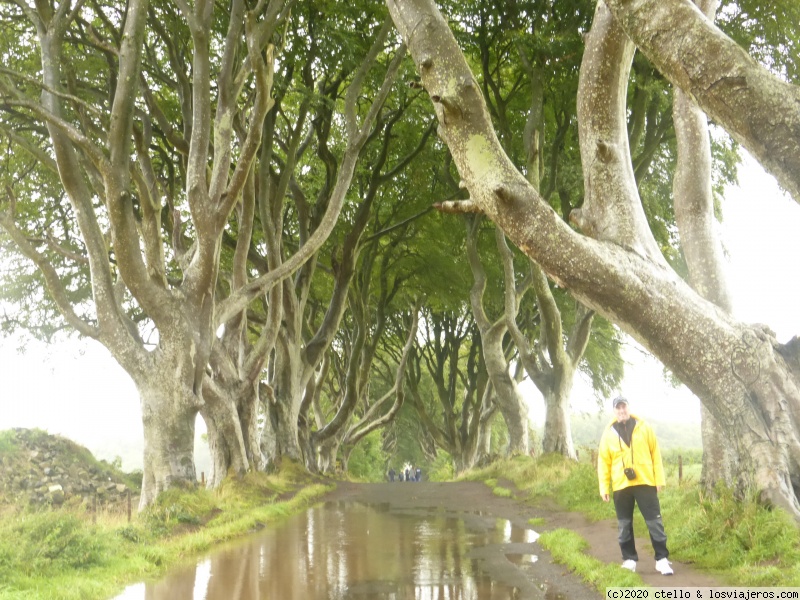 IRLANDA, TIERRA DE GIGANTES - Blogs of Ireland - DÍA 3. DERRY- CASTILLO DE DUNLUCE- PUENTE CARRICK-A-REDE-CASTILLO DE DUNSEVERICK (4)