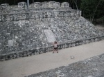 COBÁ
COBÁ