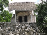 COBÁ
COBÁ