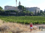 MONESTIR DE LES AVELLANES