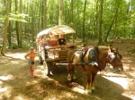 FAGEDA D'EN JORDÀ