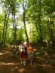 La Fageda
Fageda