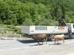 Carretera militar georgiana