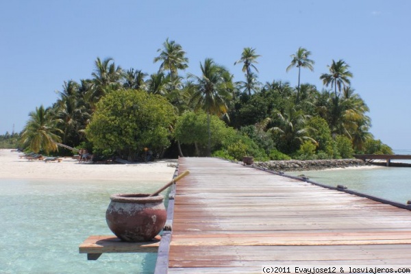 Medhufushi Island Resort
Caminito a la isla
