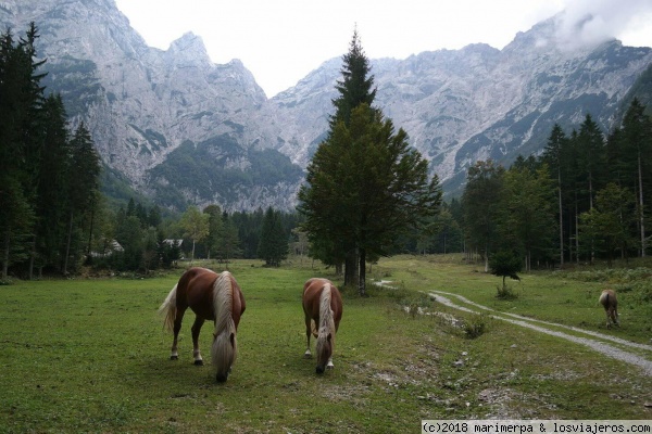 Valle de Robanov Kot - Eslovenia
Valle de Robanov Kot, en la región de Solčava, rodeado de los Alpes de Kamnik–Savinja
