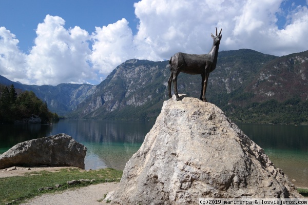 Zlatorog en el Lago Bohinj
El Zlatorog, el animal mitológico que protege los tesoros de los Alpes, representado a orillas del Lago Bohinj, en Eslovenia.
