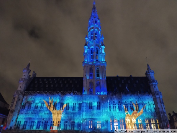 Ayuntamiento de Bruselas en Navidad 3
En Navidad la Grand Place se viste de color en un espectáculo de luz y sonido
