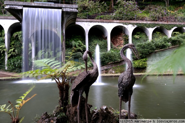 Ruta por rincones naturales más representativos de Madeira - Oficina de Turismo de Madeira: Información actualizada ✈️ Foro Portugal