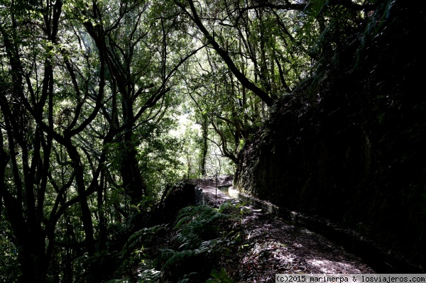 Ruta por rincones naturales más representativos de Madeira - Foro Portugal