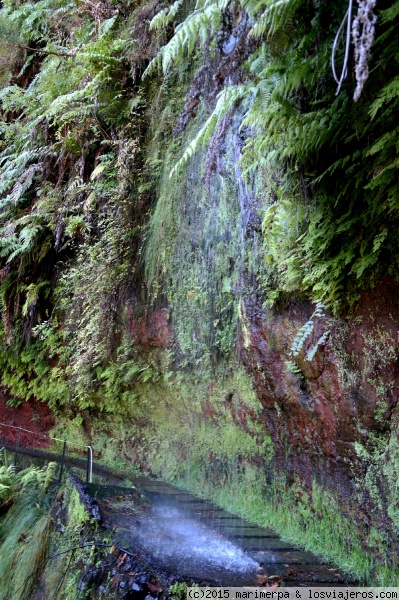 Salto de agua en la levada do Rei - Madeira
En la Levada do Rei hay que pasar por saltos de agua que caen sobre el camino, así que mejor llevar chuvasquero
