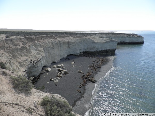 Reserva natural de Punta Loma
Reserva natural de Punta Loma (Chubut, Argentina), donde habitan lobos marinos de un pelo
