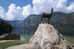 Zlatorog en el Lago Bohinj
Zlatorog, Lago, Bohinj, Alpes, Eslovenia, animal, mitológico, protege, tesoros, representado, orillas