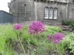 Flores en Calton Hill
Flores, Calton, Hill, Monumento, Nelson, junto