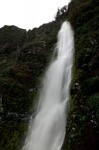 Una cascada sin nombre en el norte de Madeira.
Madeira, cascada, nombre, norte, parte, abundante, agua, encontramos, este, salto, señalizar, carretera