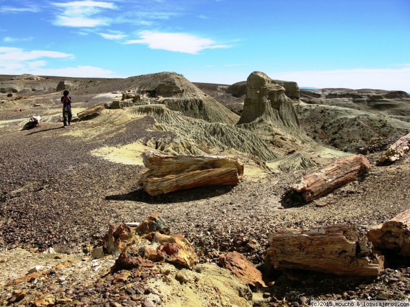 Foro de Chubut: Bosque petrificado. Sarmiento