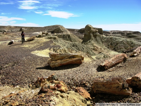 La Ruta Natural: 17 grandes rutas de naturaleza de Argentina, Ruta-Argentina (5)