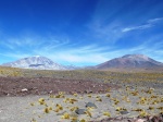 Catamarca Argentina. Ruta de los 