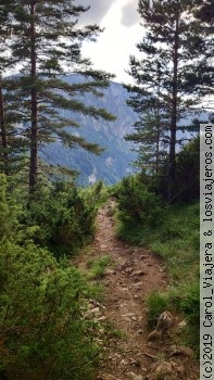 Durmitor: Lago Negro, mirador cañón río Tara, monte Curevac - Más allá de Kolašin (MONTENEGRO) (12)