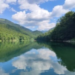 P.N. Biogradska Gora
Montenegro, Biograska Gora, Crna Gora, Parque Nacional, Lago, Bosque