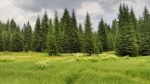 Camino al Lago Negro
Lago, Lago Negro, Crno Jezero, Durmitor, Zabljak, Crna Gora, Parque Nacional