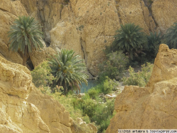 Oasis en Túnez
Chébika es un oasis de montaña en medio del desierto. Cuentan que en esta zona se rodaron exteriores para películas como La guerra de las galaxias o El paciente inglés.
