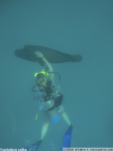 Profundidades
Buceando en la Gran Barrera de Coral en Australia
