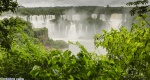 El secreto de la selva
Iguazú Cataratas Cascadas Falls Waterfalls Brasil Argentina Paraguay Foto Photo Naturaleza Selva