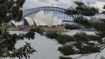 Sydney
Sydney Harbour Bridge Opera House Australia Oceania