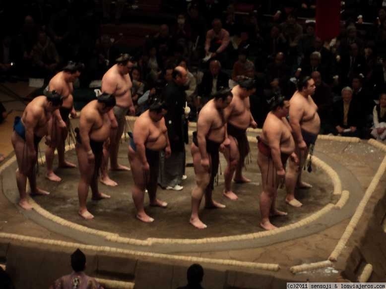 Opiniones Sumo 2024 en Japón y Corea: Luchadores de sumo