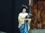 Geisha en Kyoto
Geisha, Kyoto, Gion, Kioto, captada, barrio