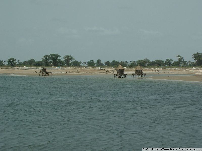 Viajar a  Senegal: Times Square - Senegal - Delta de Saloum (Times Square)