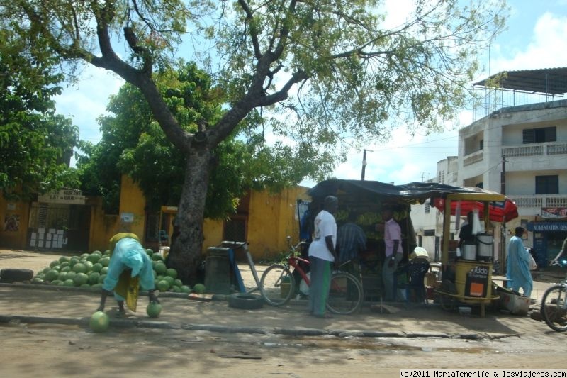 Primer viaje a Senegal - Pais Bassari - Casamance