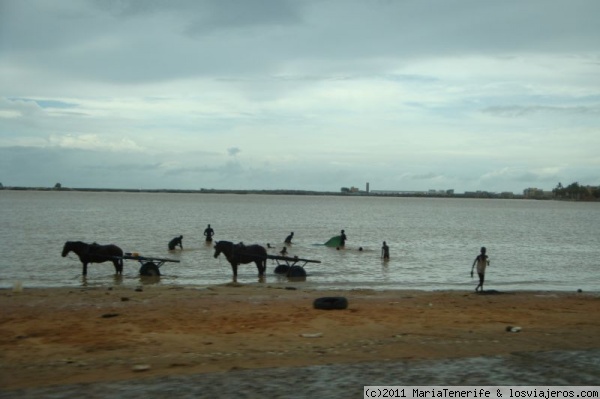 Senegal - Llegando a Saint Louis - Chicos y burros bañándose.
Vista del río Sénégal llegando a Sain Louis.
