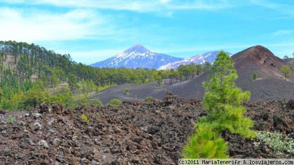 Teide, en abril con el pico aún nevadito
Parque Nacional del Teide.
