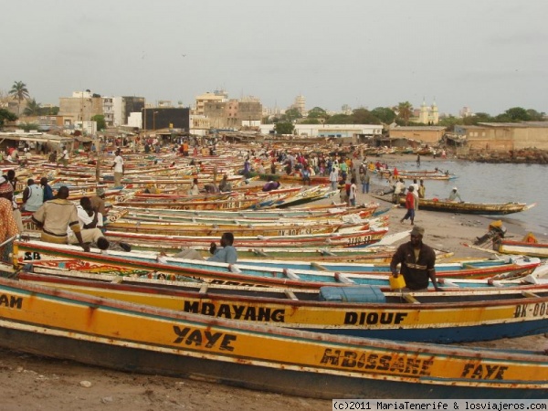 Dakar - Llegada de cayucos de pesca
Llegó la pesca!

