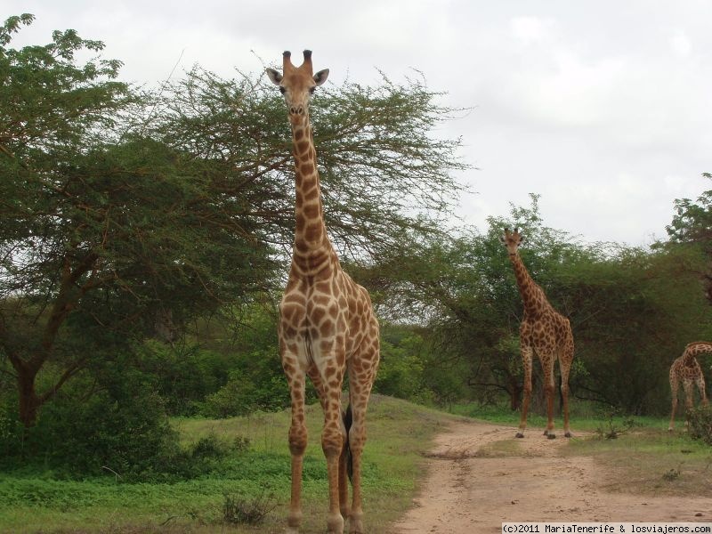 AVENTURA EN SENEGAL