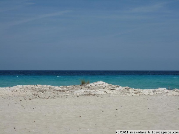 Playa de Ses Illetes- Formentera - Islas Baleares - Oficina de Turismo de Formentera: Información actualizada