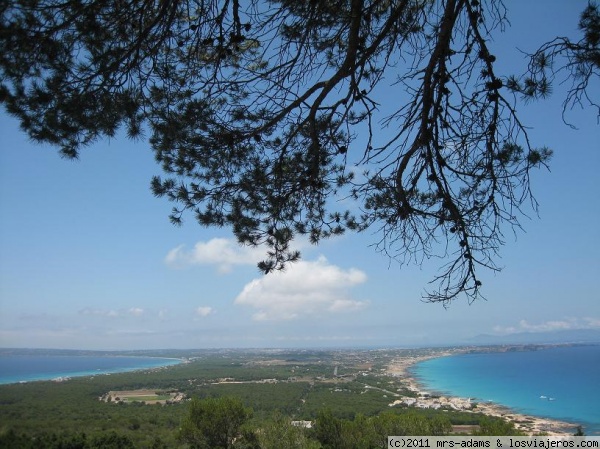 Rutas Verdes en Formentera: a pie o en bicicleta ✈️ Foro Islas Baleares